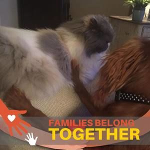 Meet your Posher, Gloria